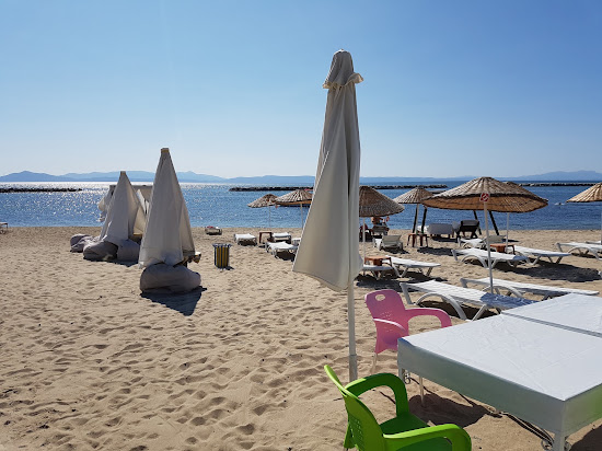 Professors beach