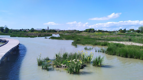 Marais de Tasdon à La Rochelle