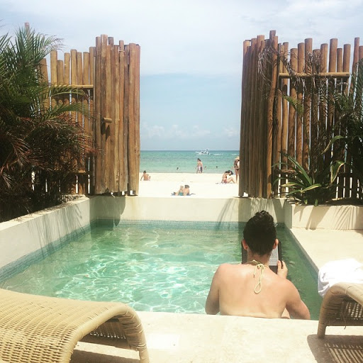 Gym «Chicago Primal Gym», reviews and photos, 1235 W Belmont Ave Unit B, Chicago, IL 60657, USA