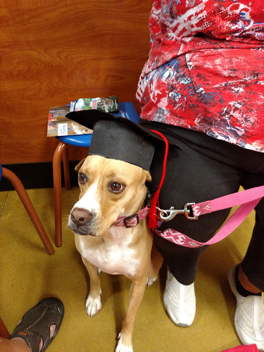 Pet Supply Store «PetSmart», reviews and photos, 131 Town Center Rd, King of Prussia, PA 19406, USA