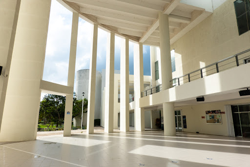 Universidad del Caribe