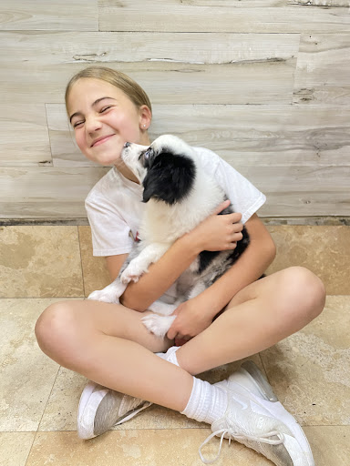 Pet Supply Store «Petland Dallas», reviews and photos, 11909 Preston Rd, Dallas, TX 75230, USA