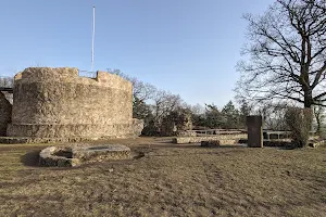 Burgruine Tannenberg image