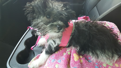 Pet Supply Store «PetSmart», reviews and photos, 1621 E Monte Vista Ave b, Vacaville, CA 95688, USA