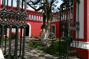 Museo La Magnolia image