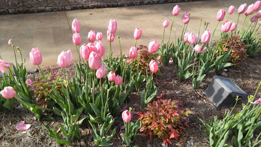 Attraction «Elvis Presley Birthplace», reviews and photos, 306 Elvis Presley Dr, Tupelo, MS 38801, USA