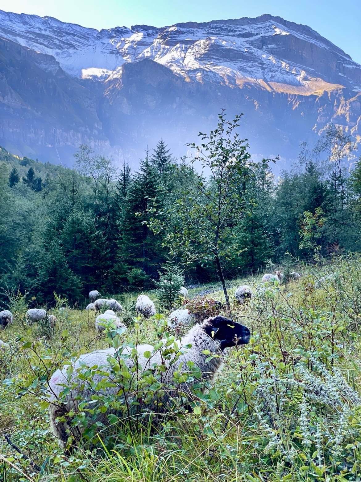 Photo n° 4 de l'avis de Benoit.o fait le 19/09/2022 à 13:43