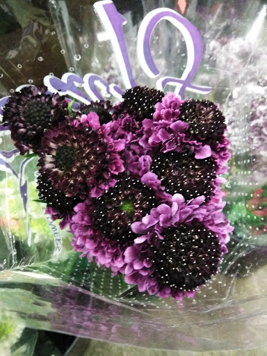 Florist «San Antonio Flower Co», reviews and photos, 7538 Broadway St, San Antonio, TX 78209, USA