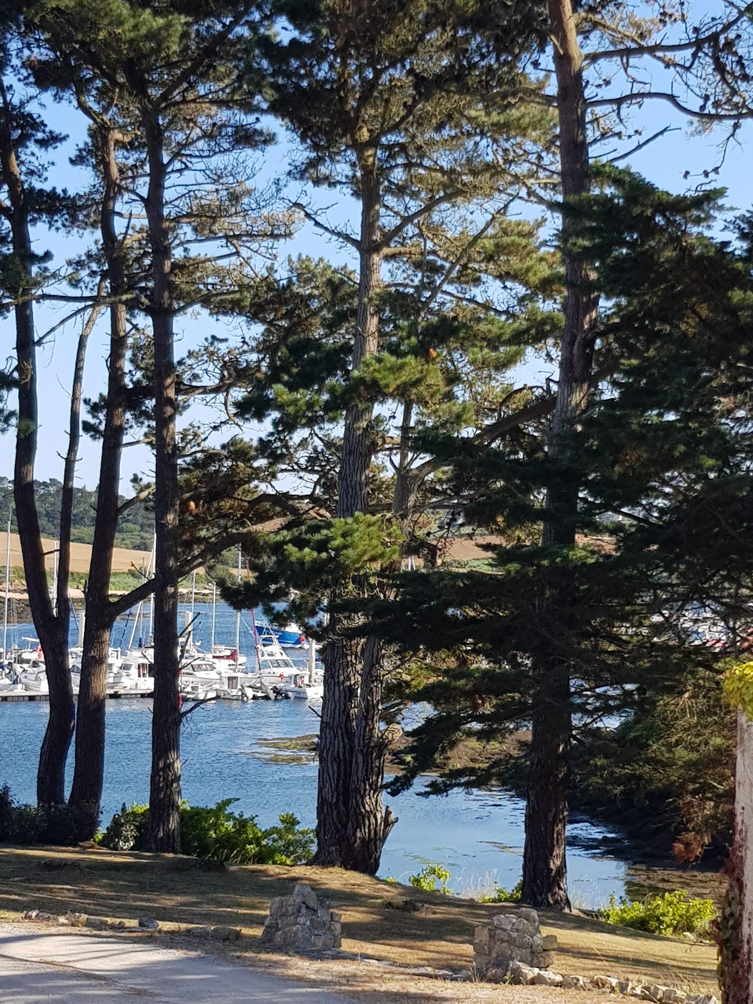 Photo n° 2 de l'avis de Aldo.l fait le 13/07/2019 à 20:15