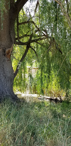 Nature Preserve «Gateway Lakes Natural Area», reviews and photos, 28th Street, Greeley, CO 80634, USA