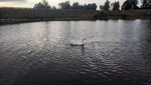 Event Venue «Lake Lanier Olympic Park», reviews and photos, 3105 Clarks Bridge Rd, Gainesville, GA 30506, USA