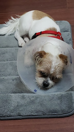 Pet Supply Store «Pet Supplies Plus», reviews and photos, 4923 Sheridan St, Hollywood, FL 33021, USA