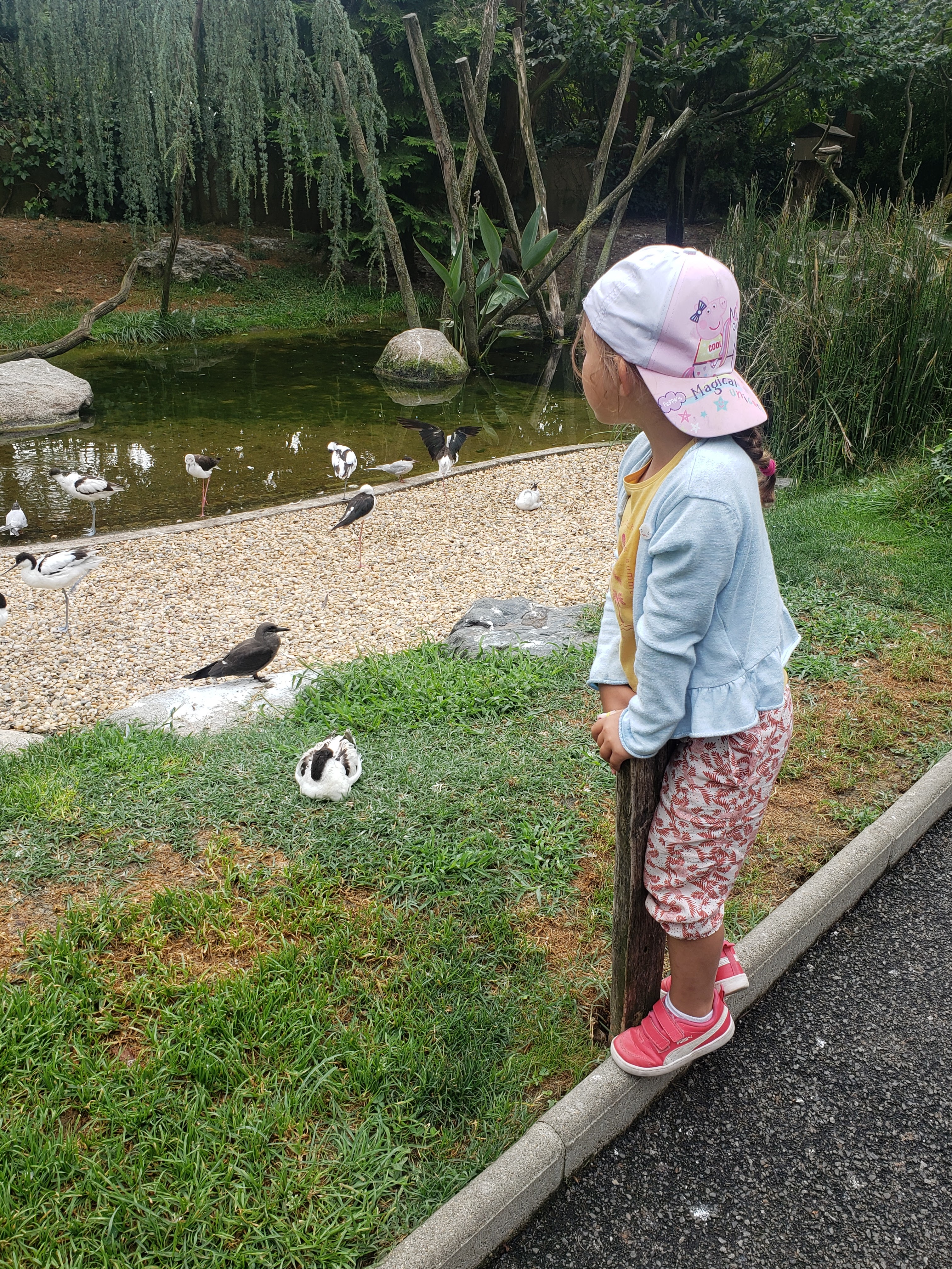 Photo n° 3 de l'avis de Emilie.e fait le 28/07/2022 à 16:01