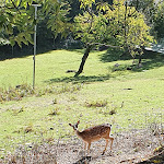 Photo n°5 de l'avis de Ari.c fait le 06/10/2022 à 19:57 sur le  Kleine Schweiz - Jonas Wiehoff à Velbert