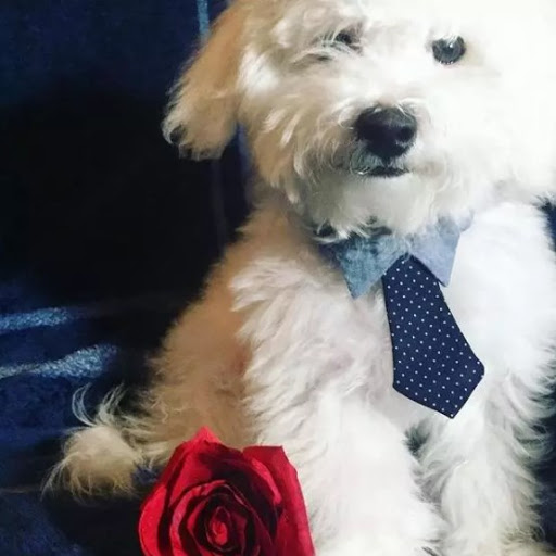 Insurance Agency «Allstate Insurance Agent: Misty Everette», reviews and photos