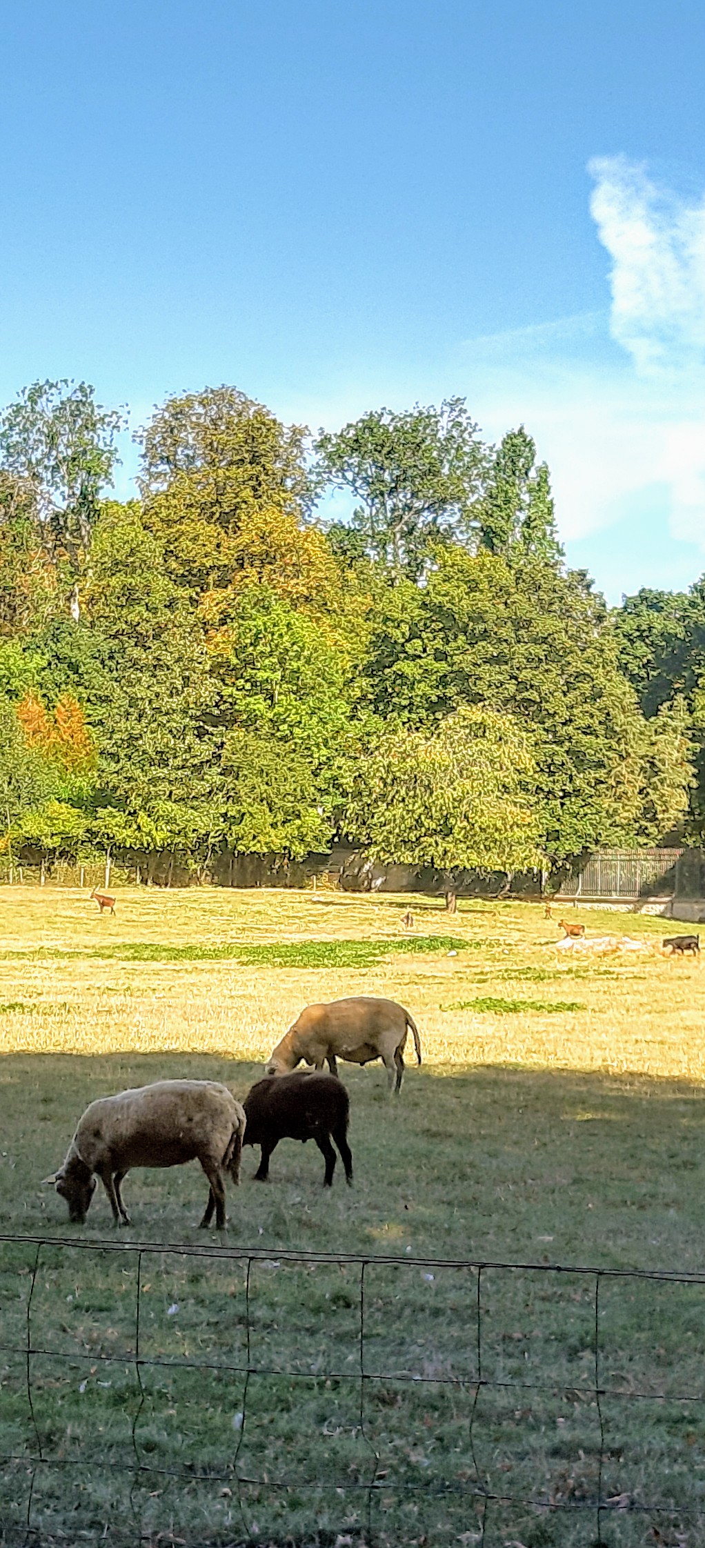 Photo n° 37 de l'avis de betty.o fait le 10/12/2019 à 11:19