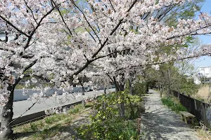 Koshigayaryutsu Park image