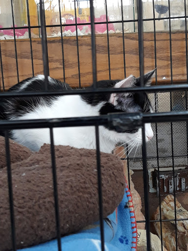 Pet Store «Animal Ark Pet Stores», reviews and photos, 33 Center St, Orem, UT 84057, USA