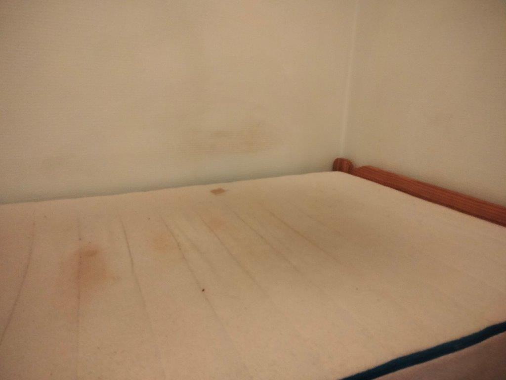 Photo n° 8 de l'avis de Jean-Pierre.A fait le 28/04/2023 à 13:10