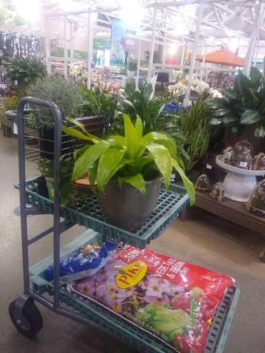 Garden Center «Pike Nurseries», reviews and photos, 6050 Bethelview Rd, Cumming, GA 30040, USA