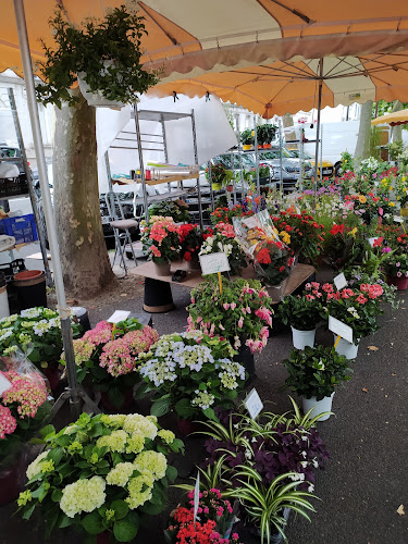 Marché Aux Fleurs à Tours