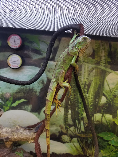 Shopping Mall «Bond Shopping Center», reviews and photos, 1891 S State Rd, Upper Darby, PA 19082, USA