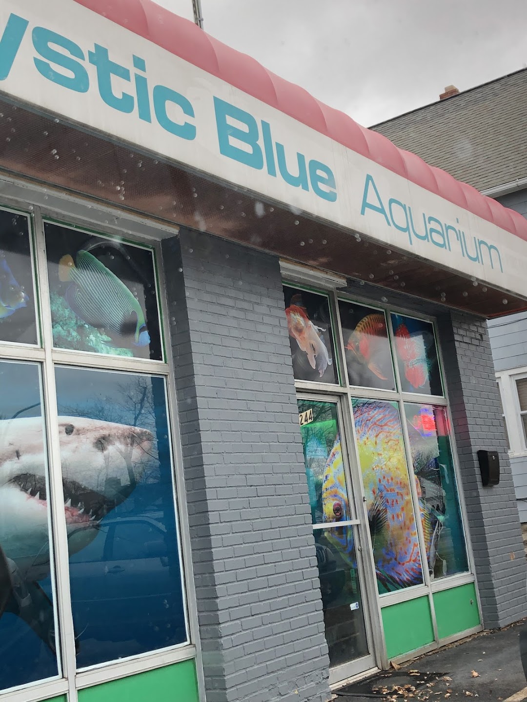 Mystic Blue Aquarium