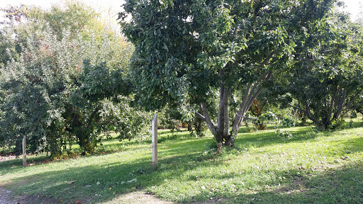 Farm «Arbor Day Farm», reviews and photos, 2611 Arbor Ave, Nebraska City, NE 68410, USA