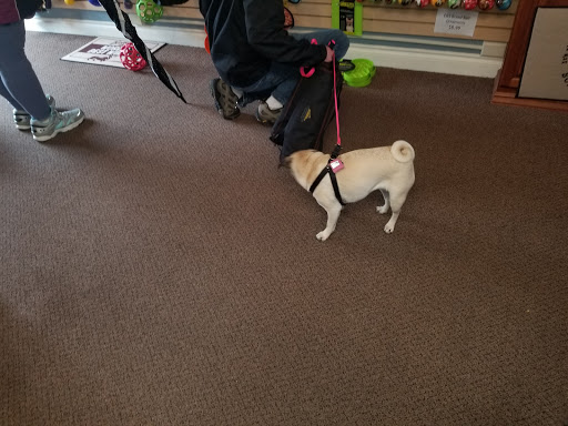 Pet Supply Store «Decadent Dogs», reviews and photos, 206 S River Ave, Holland, MI 49423, USA