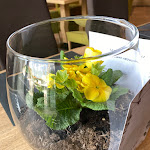 Photo n°2 de l'avis de M.e fait le 23/03/2023 à 22:53 sur le  Ristorante Pizzeria Giardino à Cles