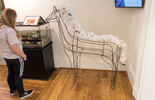 Science Academy «The Living Arts & Science Center», reviews and photos, 362 N Martin Luther King Blvd, Lexington, KY 40508, USA