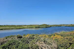 RSPB Valley Wetlands image