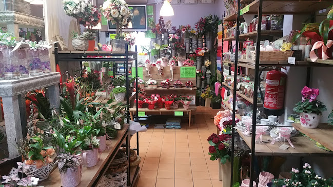 Értékelések erről a helyről: Inda Virágüzlet, Hódmezővásárhely - Virágárus