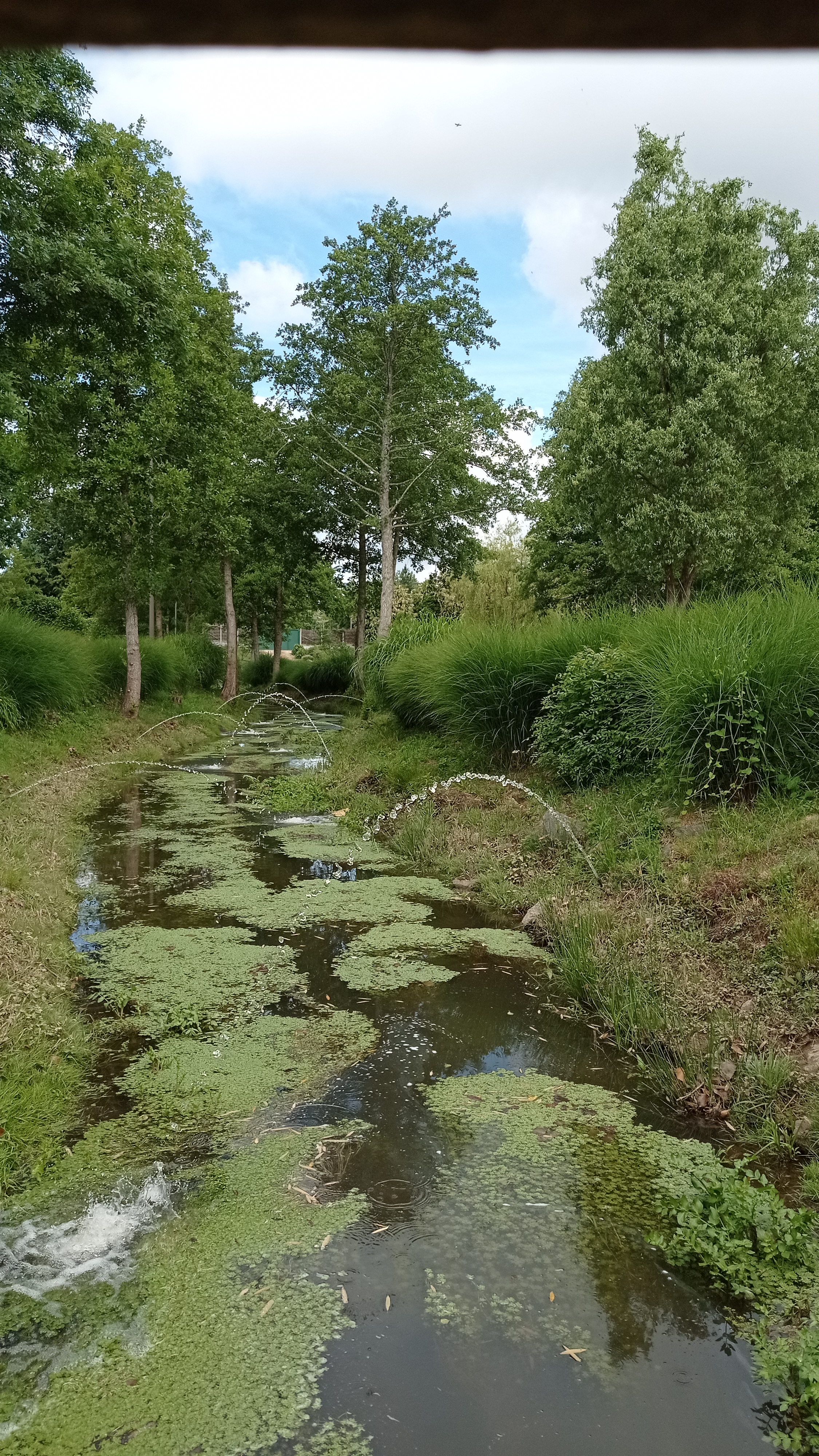 Photo n° 1 de l'avis de Olivier.e fait le 26/08/2019 à 11:21