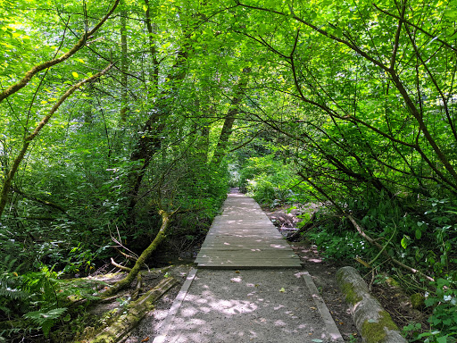 State Park «Dash Point State Park», reviews and photos, 5700 SW Dash Point Rd, Federal Way, WA 98023, USA