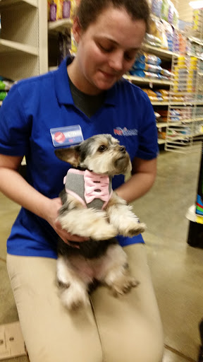 Pet Supply Store «PetSmart», reviews and photos, 104 Dettro Dr, Mattoon, IL 61938, USA