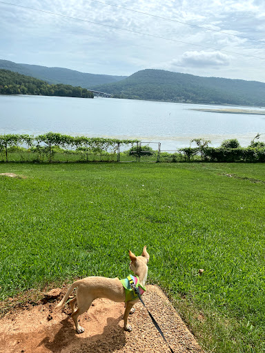 Pet Supply Store «Petco Animal Supplies», reviews and photos, 2435 N Hwy 67, Florissant, MO 63033, USA