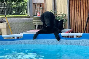 Creahof, Zentrum für Hunde image