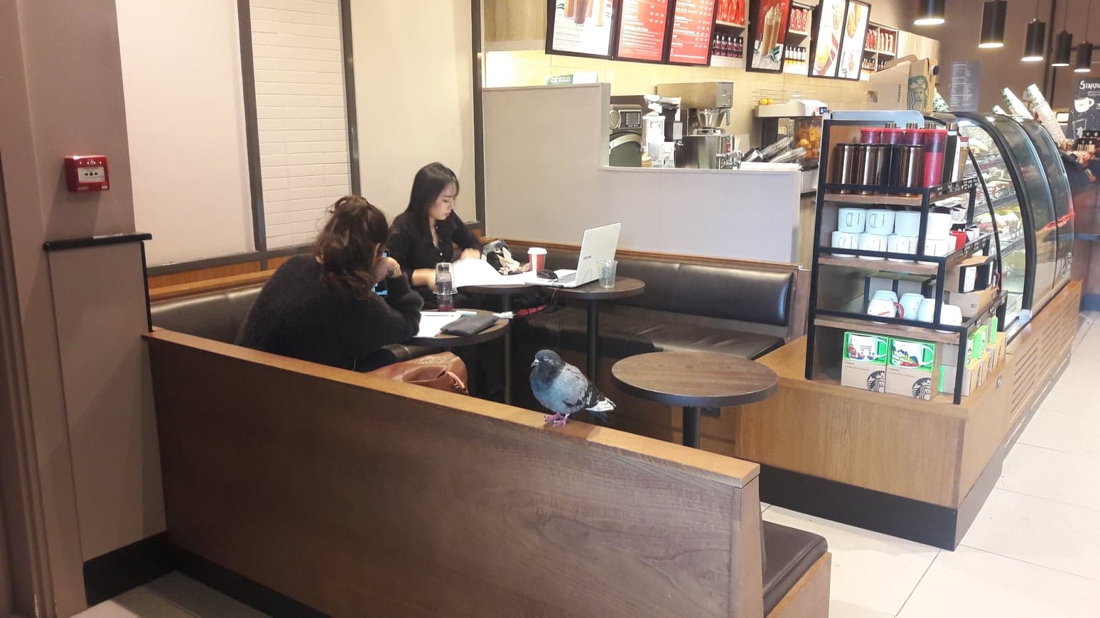 Photo n° 1 de l'avis de Les.e fait le 16/12/2018 à 12:47