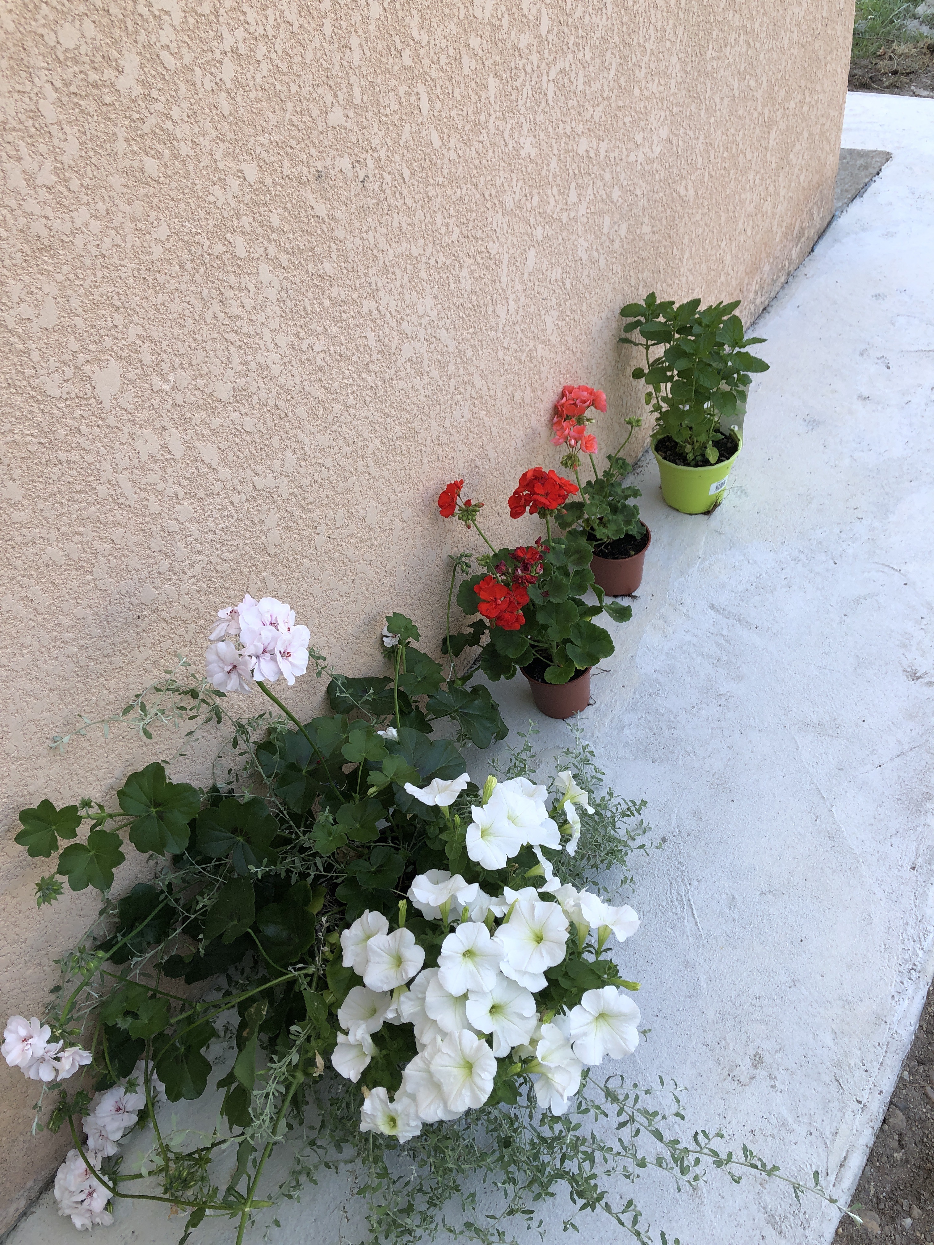 Photo n° 10 de l'avis de Radhwan.o fait le 03/06/2023 à 14:53