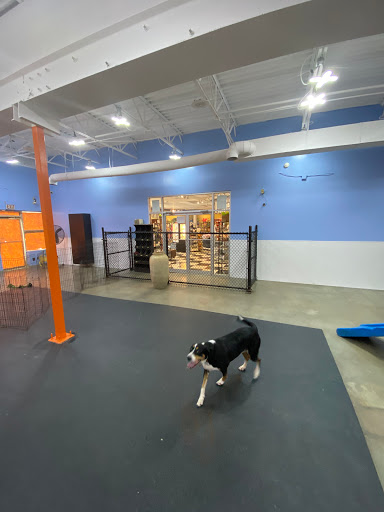 Pet Groomer «The Pet Set - Buckhead», reviews and photos, 2480 Briarcliff Rd NE #3, Atlanta, GA 30329, USA