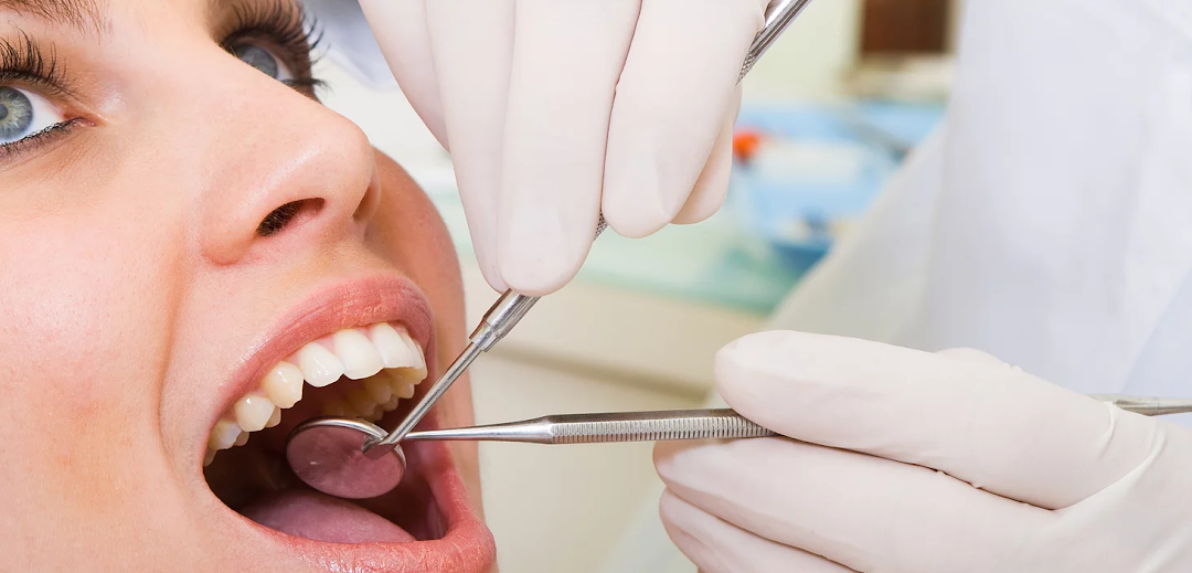 Michael S. Pollack DDS