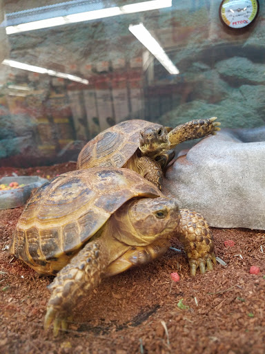 Pet Supply Store «Petco Animal Supplies», reviews and photos, 10 Sylvan St, Peabody, MA 01960, USA