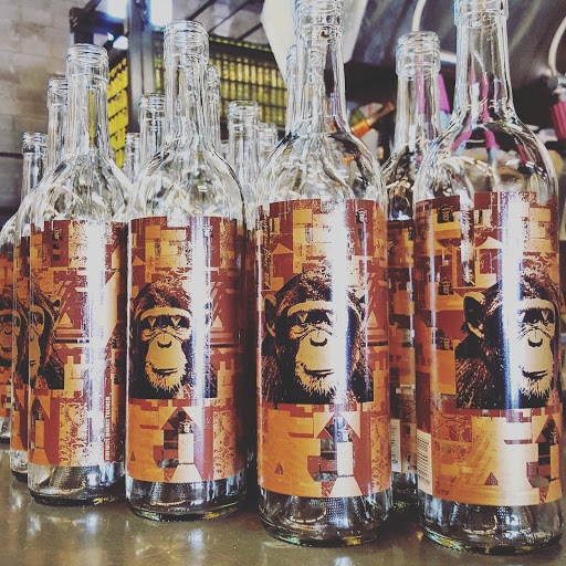 The Infinite Monkey Theorem Denver