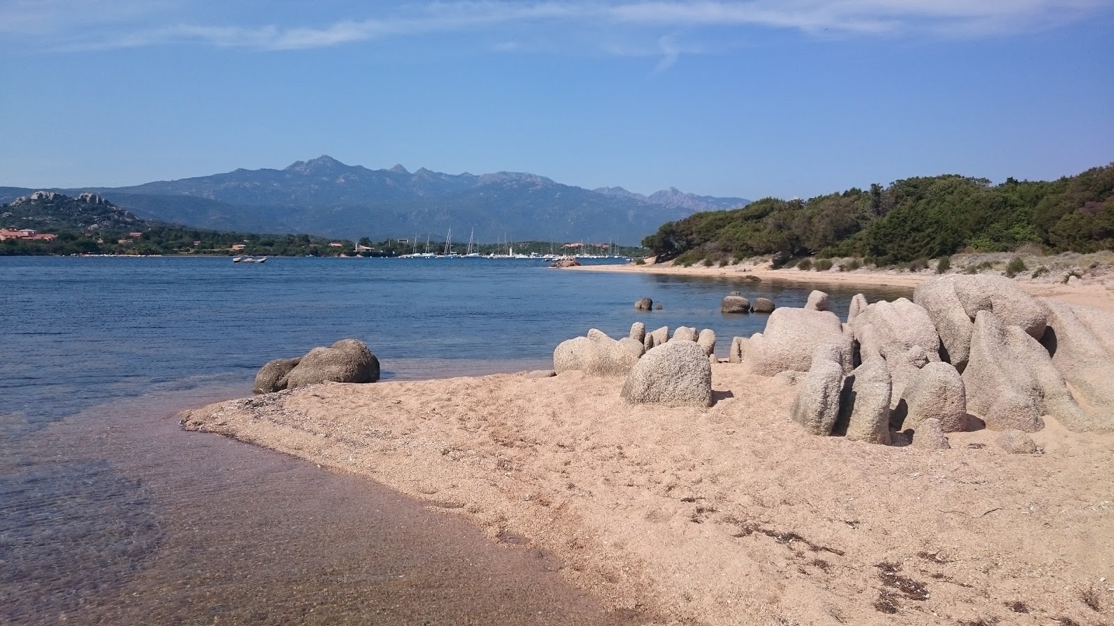 Φωτογραφία του Figari beach με καθαρό νερό επιφάνεια