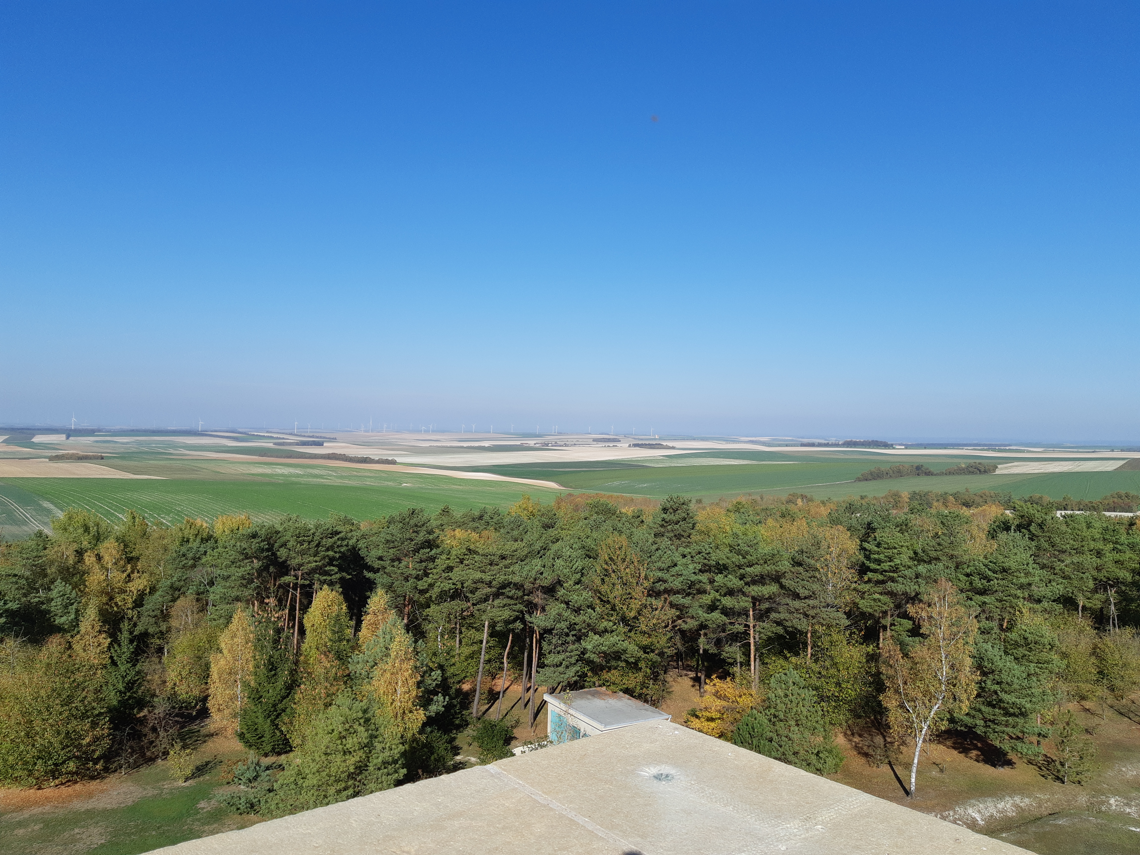 Photo n° 6 de l'avis de Grenier.y fait le 21/10/2018 à 13:16