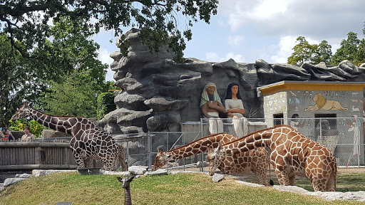 Animal Park «Detroit Zoo Safari Station Exit», reviews and photos, Ludlow Pl, Huntington Woods, MI 48070, USA