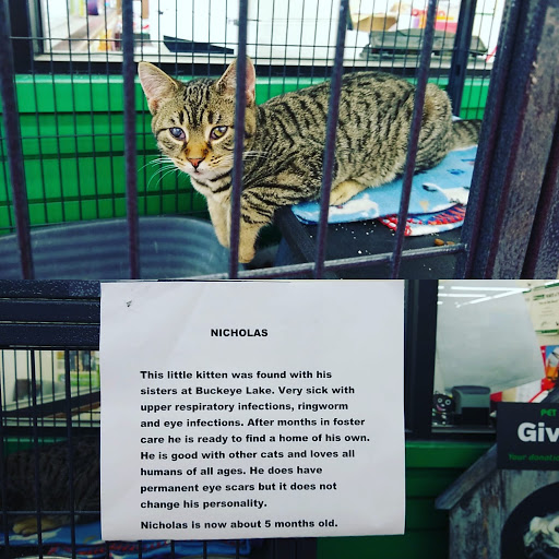 Pet Supply Store «Pet Supplies Plus», reviews and photos, 1380 W Lane Ave, Upper Arlington, OH 43221, USA