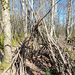Photo n° 9 de l'avis de Matheo.e fait le 20/04/2023 à 16:55 pour Gorges du Stangala à Quimper
