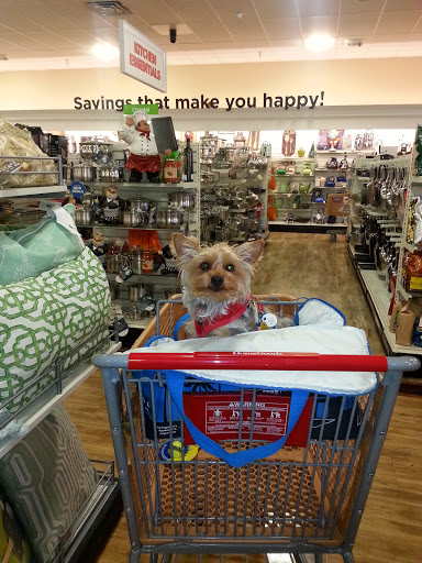 Department Store «HomeGoods», reviews and photos, 2950 St Rose Pkwy, Henderson, NV 89052, USA